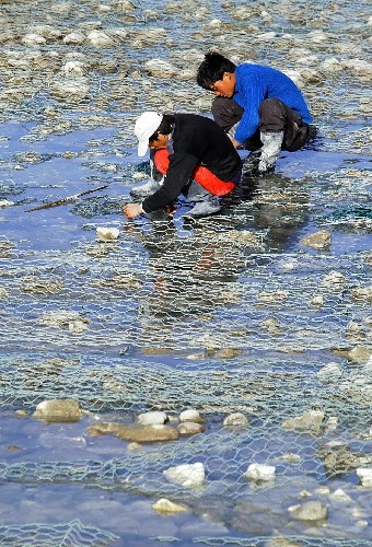 ˺ӿڷˮм~εO(sh)eW(wng)